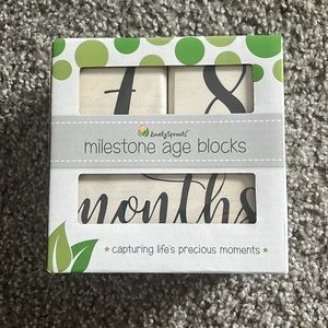 Milestone age blocks
